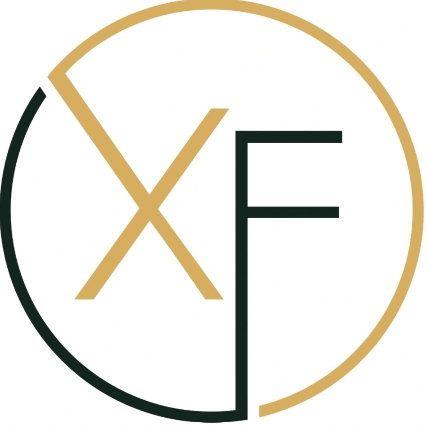 xtraordinary flair logo
